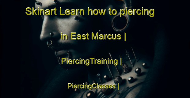 Skinart Learn how to piercing in East Marcus | PiercingTraining | PiercingClasses | SkinartTraining-United States